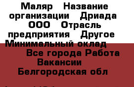 Маляр › Название организации ­ Дриада, ООО › Отрасль предприятия ­ Другое › Минимальный оклад ­ 18 000 - Все города Работа » Вакансии   . Белгородская обл.